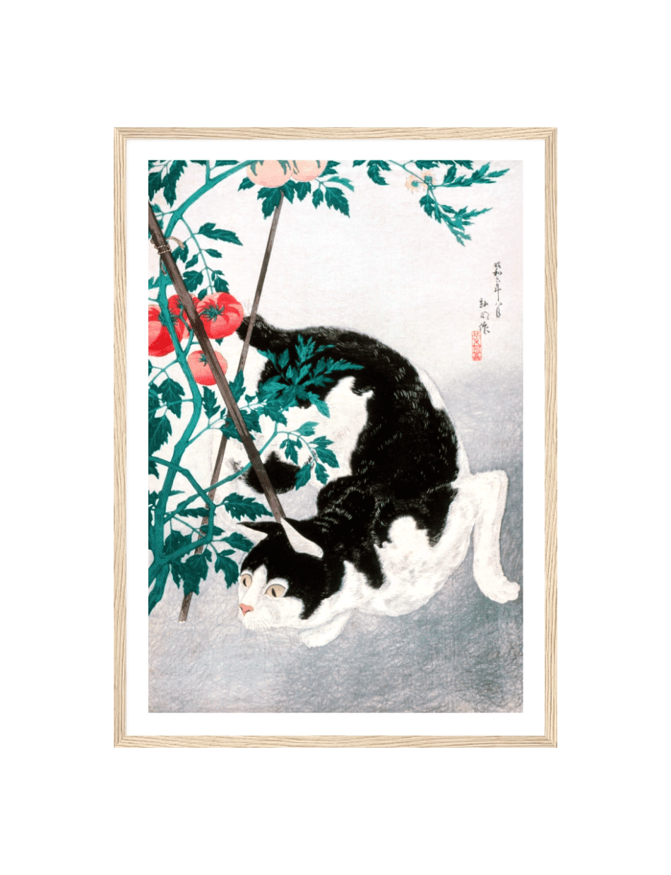 Cat with Tomato Plant - Hiroaki Takahashi