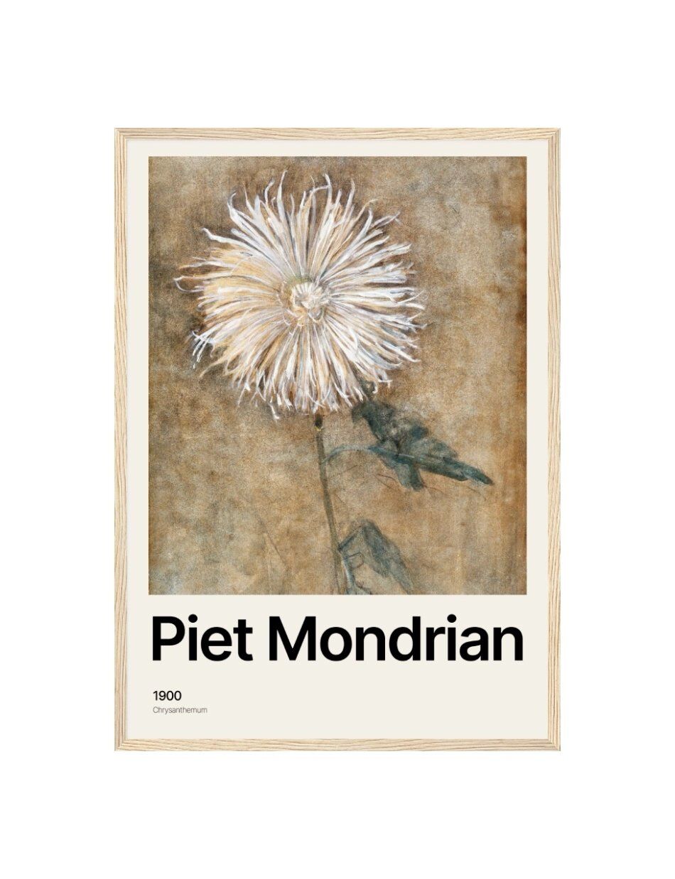 Chrysanthemum - Piet Mondrian