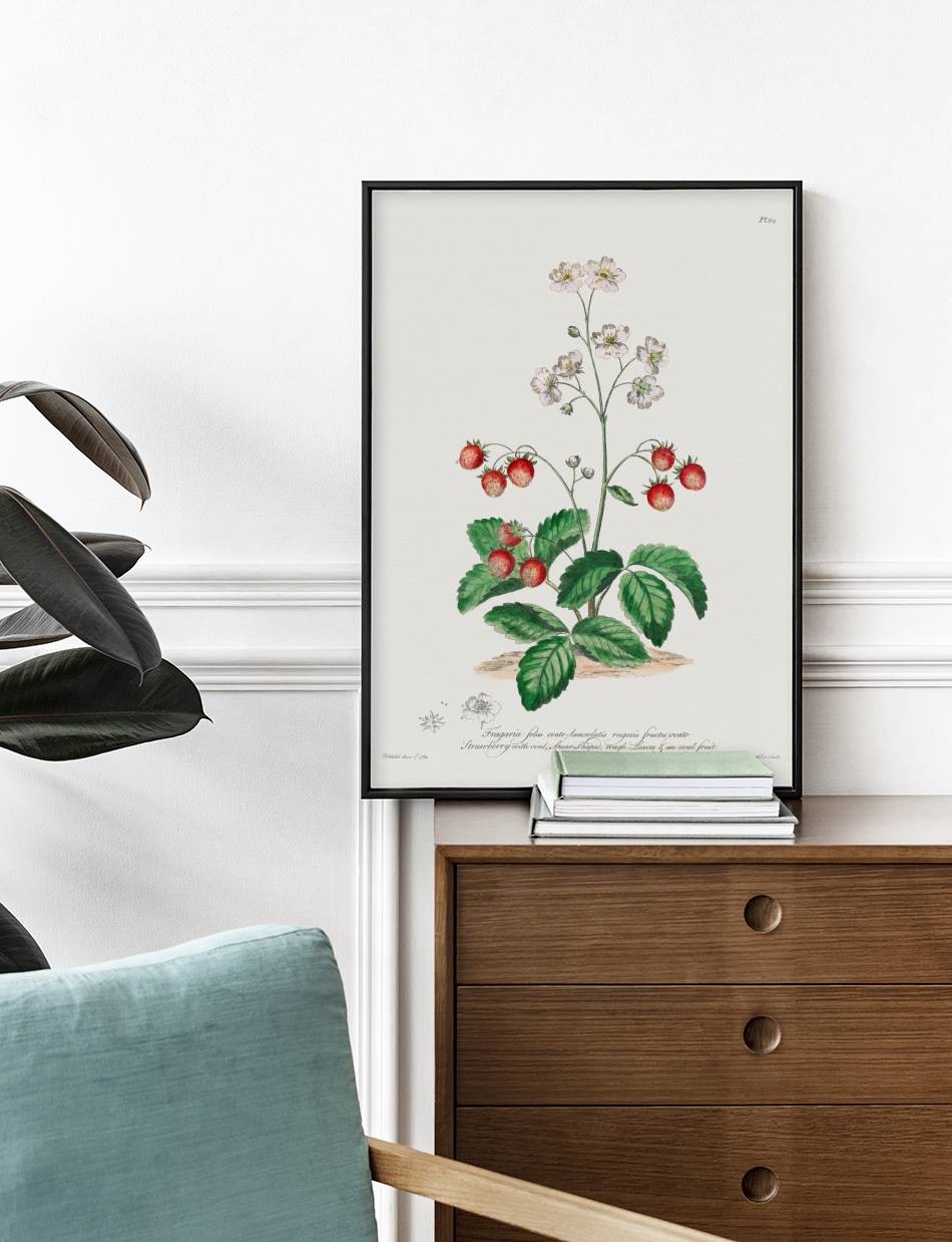 Strawberry with Oval Spear-Shaped Rough Leaves - John Edwards