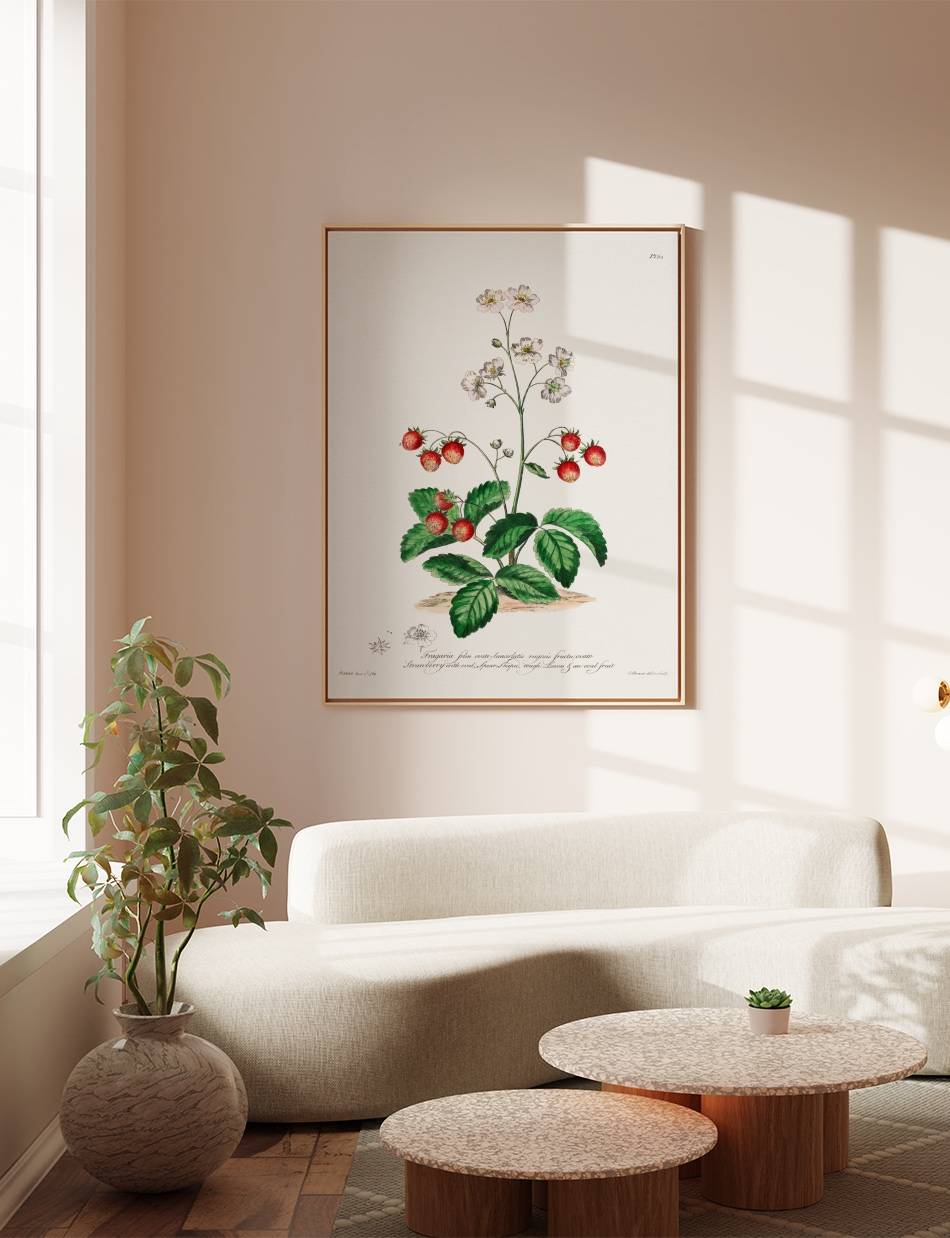 Strawberry with Oval Spear-Shaped Rough Leaves - John Edwards