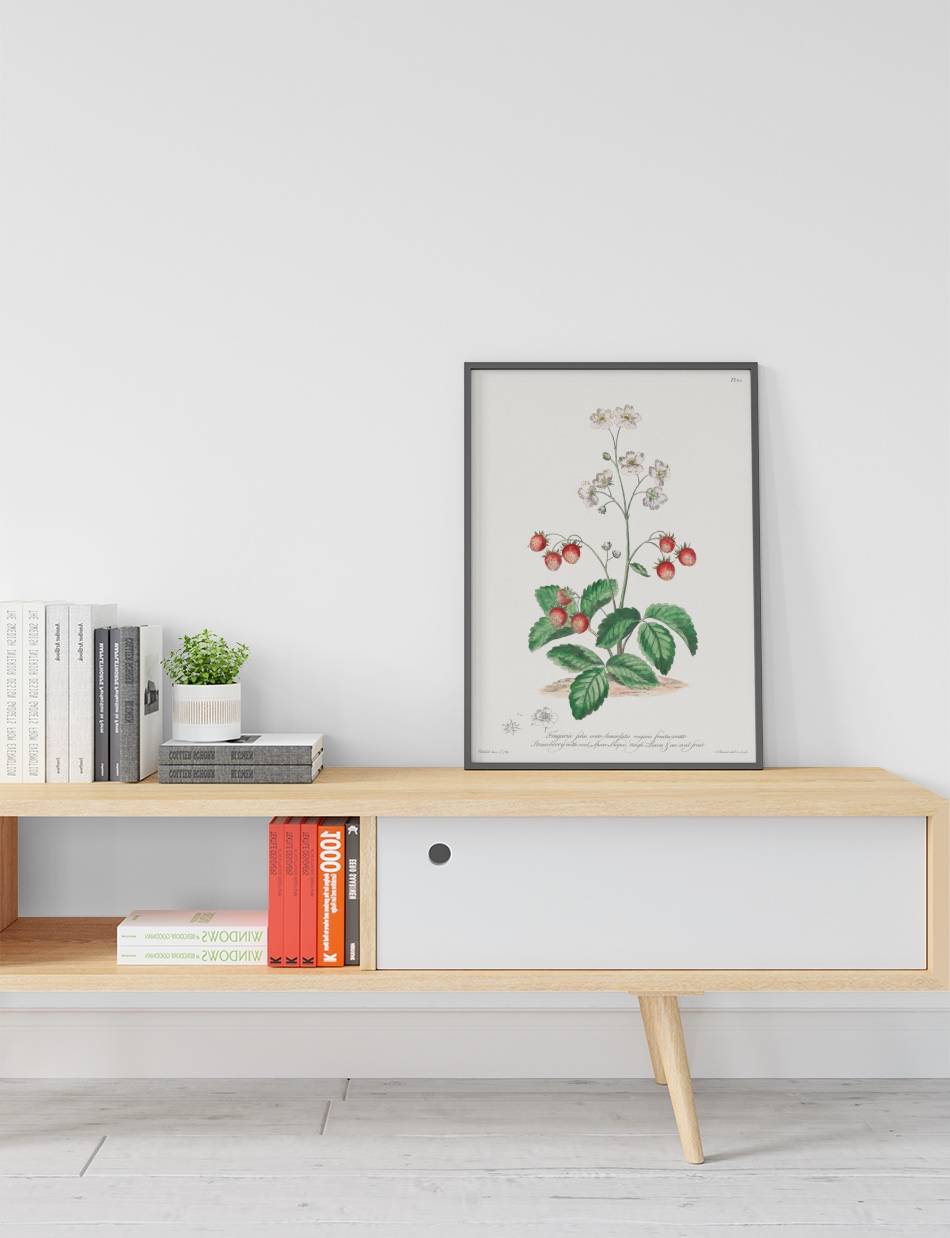 Strawberry with Oval Spear-Shaped Rough Leaves - John Edwards