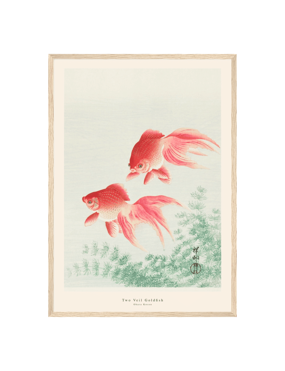 Two Veil Goldfish - Ohara Koson