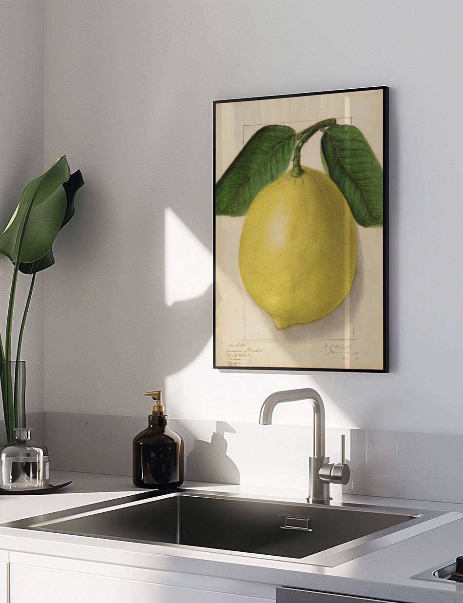 Citrus limon: American Wonder - Ellen Isham Schutt