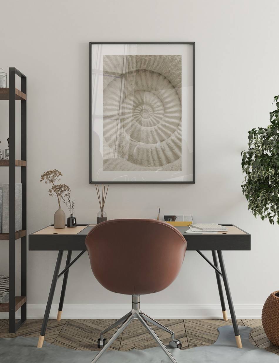 Ancient Spiral Shell