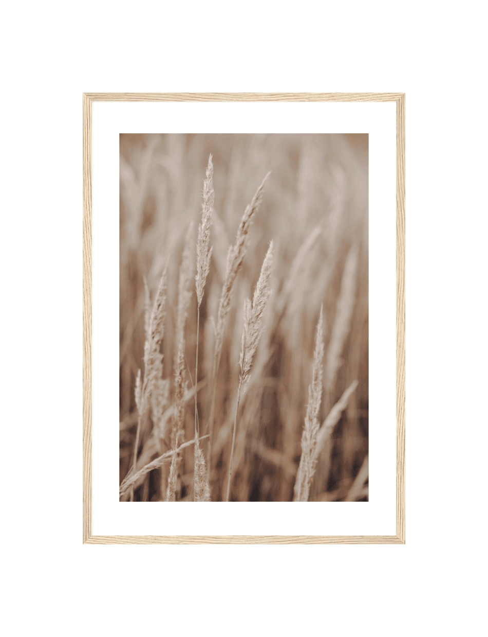 Gentle Grasses