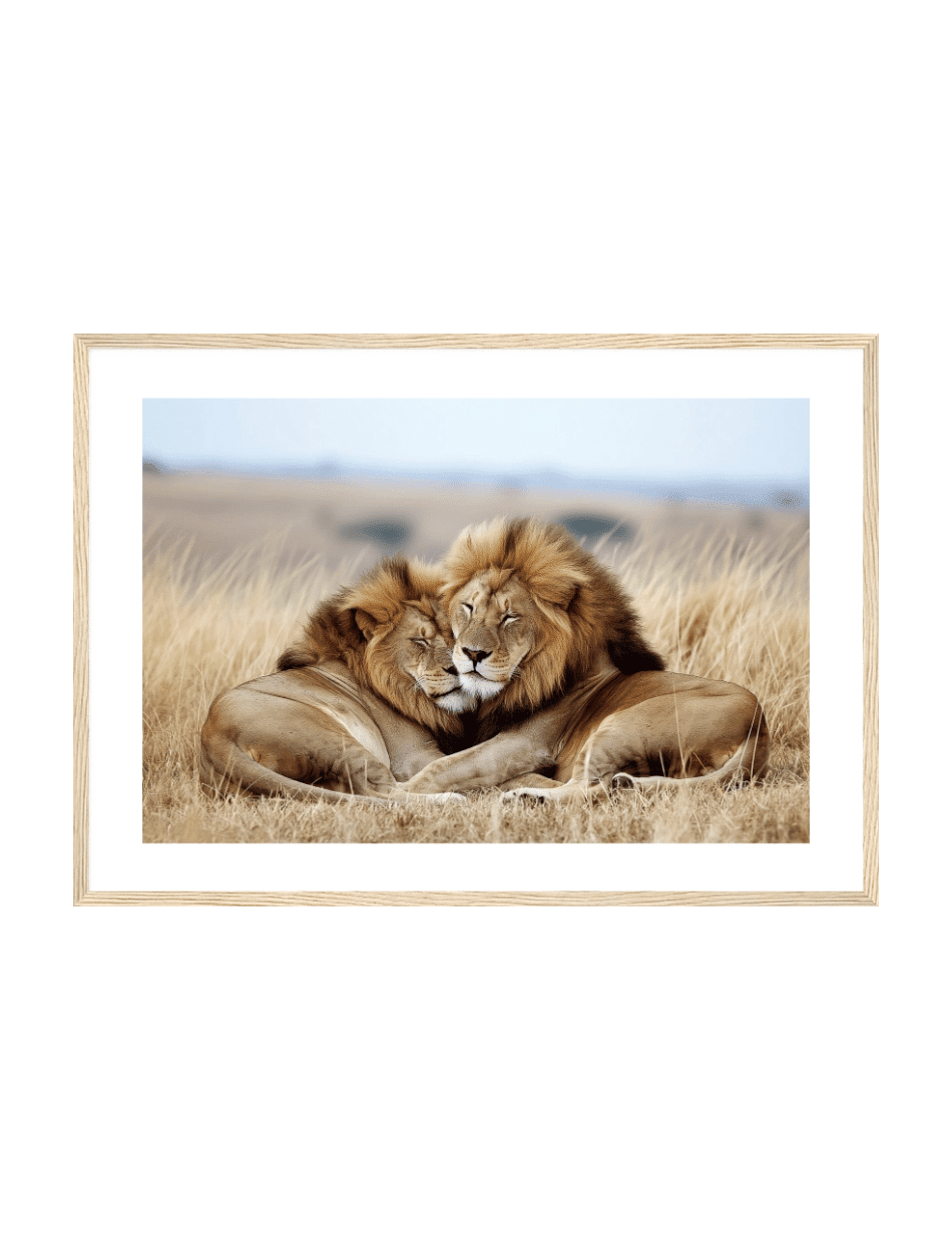 Lion Brothers