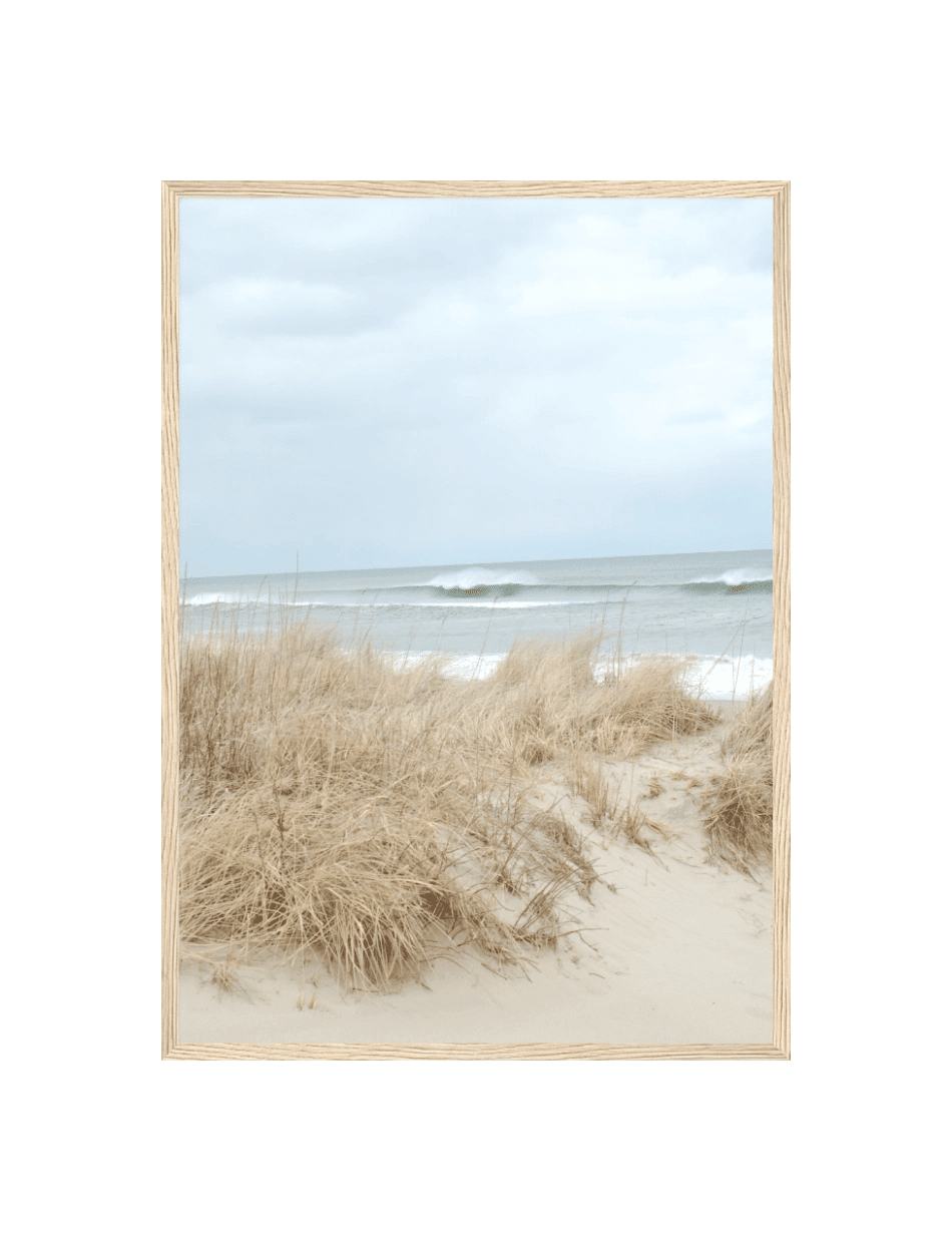 Sandy Shoreline